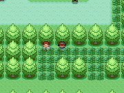 Screenshot1055555