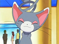 Glameow de Hikari