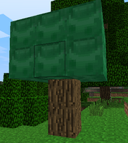 Atreeit