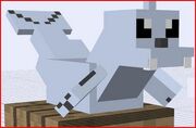 Dewgong 3