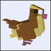 Pidgy