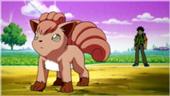 170px-Vulpix and Brock
