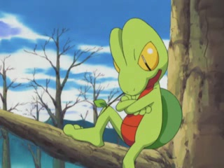 AshTreecko