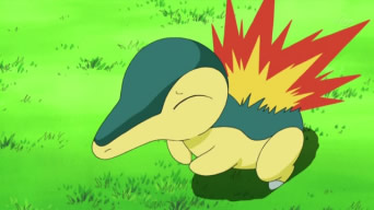 Ash Cyndaquil