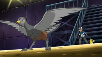 Ash's Unfezant