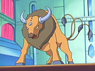 Ash's Tauros