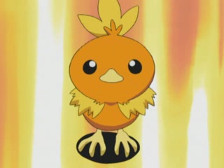 May Torchic