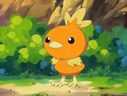 Torchic