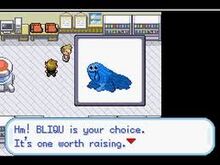 Bliqu