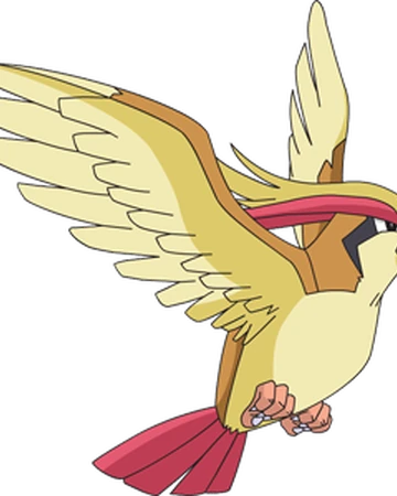 Pidgeot Pokemon Dark Rising Wiki Fandom
