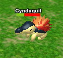 Cyndaquil