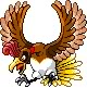 TurkeyHo-oh
