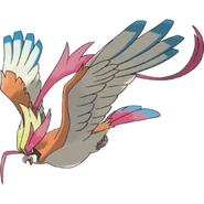 Mega pidgeot