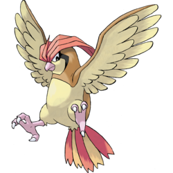 Pokemon Pidgeotto