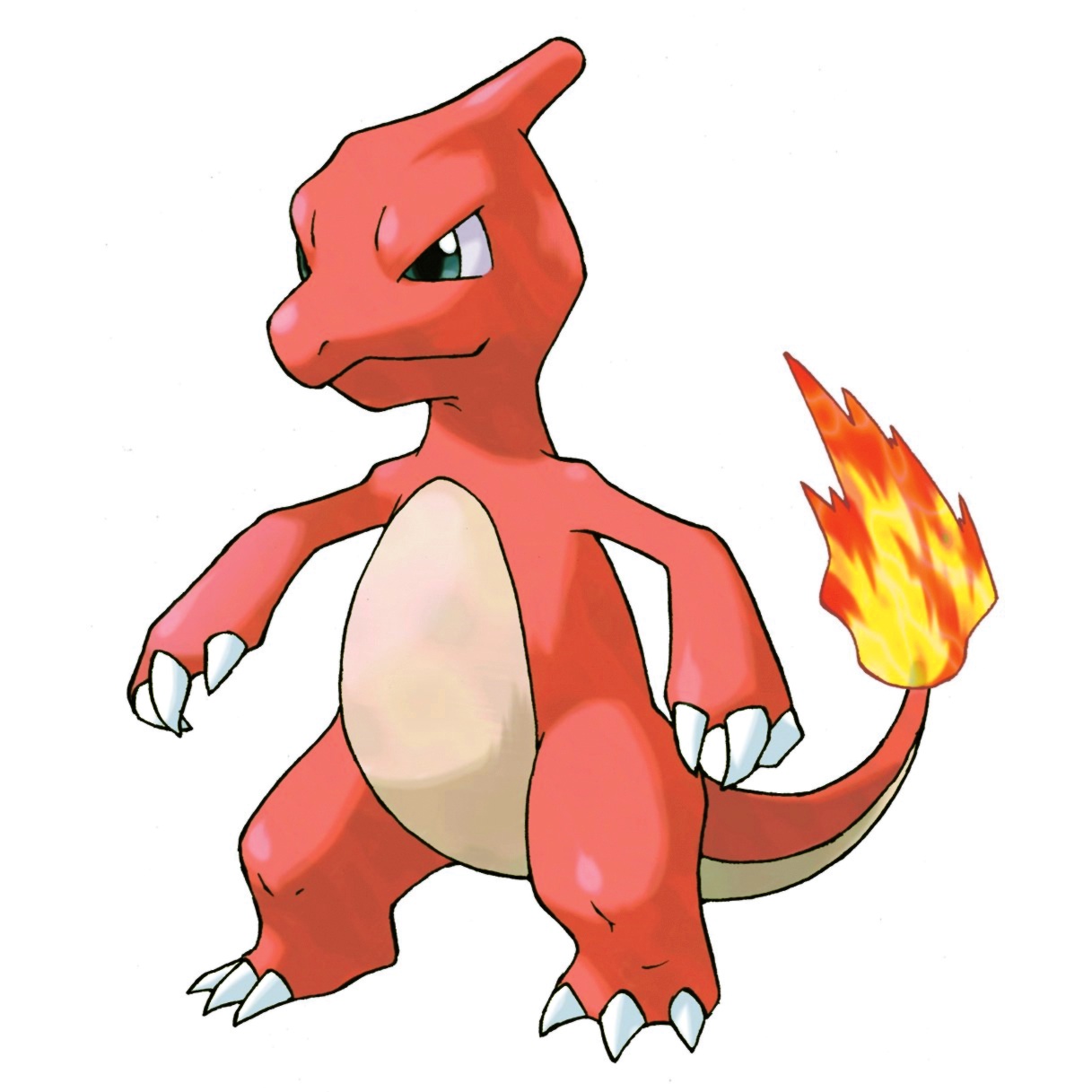 Image - Charmeleon.jpg | Pokemon Pokepedia Wiki | FANDOM powered by Wikia
