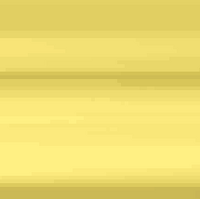 Electric Terrain Pokemon Reborn Wikia Fandom