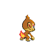 chimchar pokemon reborn wikia fandom powered by wikia