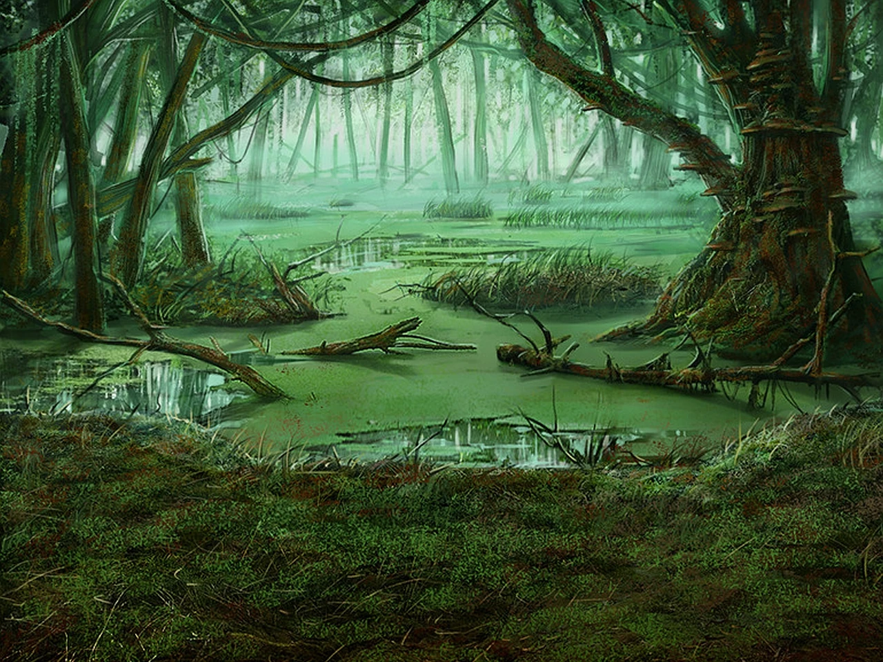 Imagen Swampwallpaper6.jpg Wikia Pokémon Rol Championship