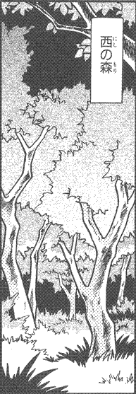 Western Forest Ch1