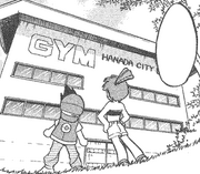 CeruleanGym Ch8 117