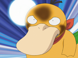 Image result for Psyduck HydroPump