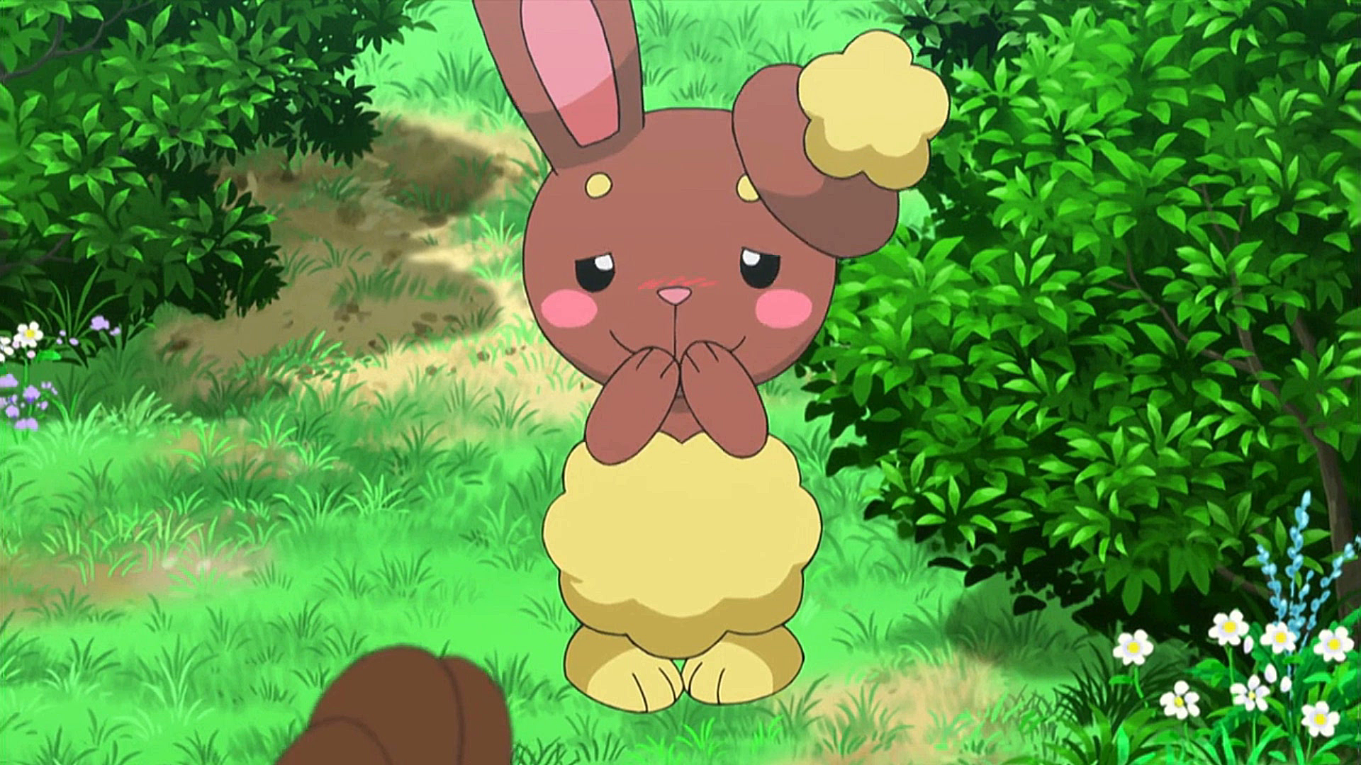 pokemon lilia pokemon lilia