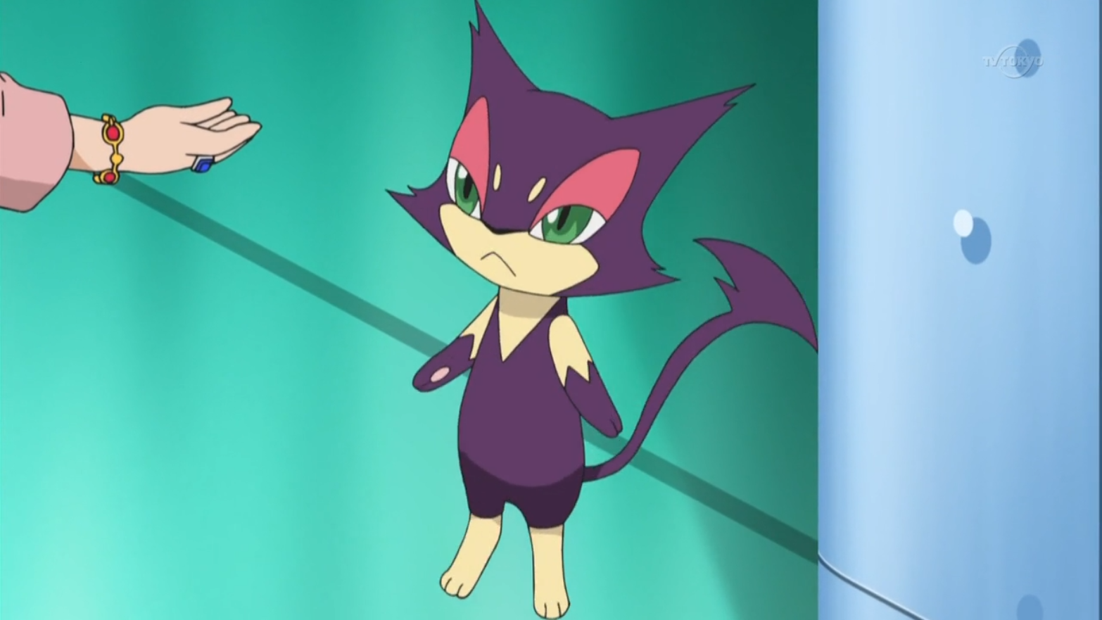 Mrs. Ripple's Purrloin