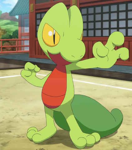 File:Sawyer Treecko.png