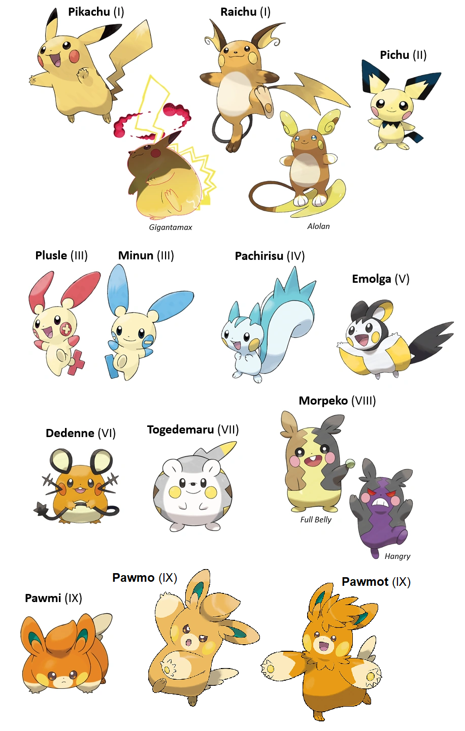 Pikachu Evolution Chart