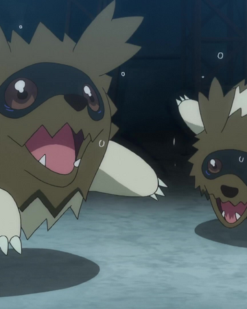 Pokemon Of The Day Linoone