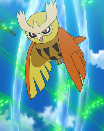 Ash S Noctowl Pokemon Wiki Fandom