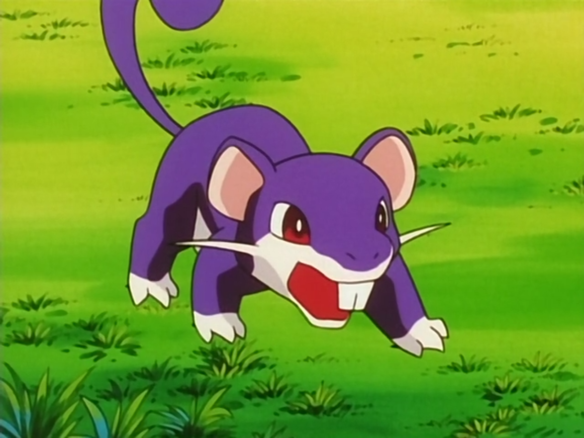 Výsledek obrázku pro pokemon rattata