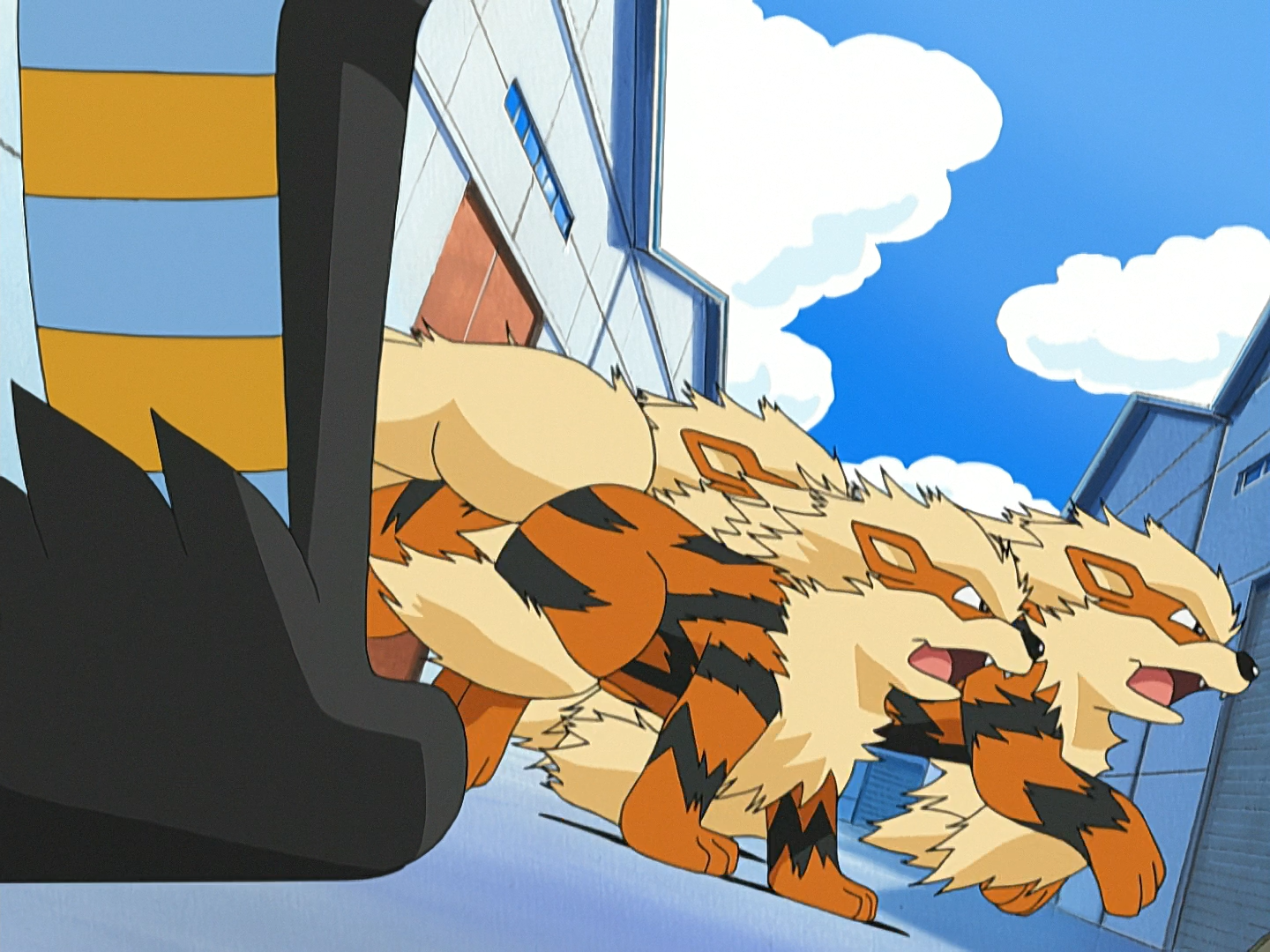 officer jenny s arcanine
