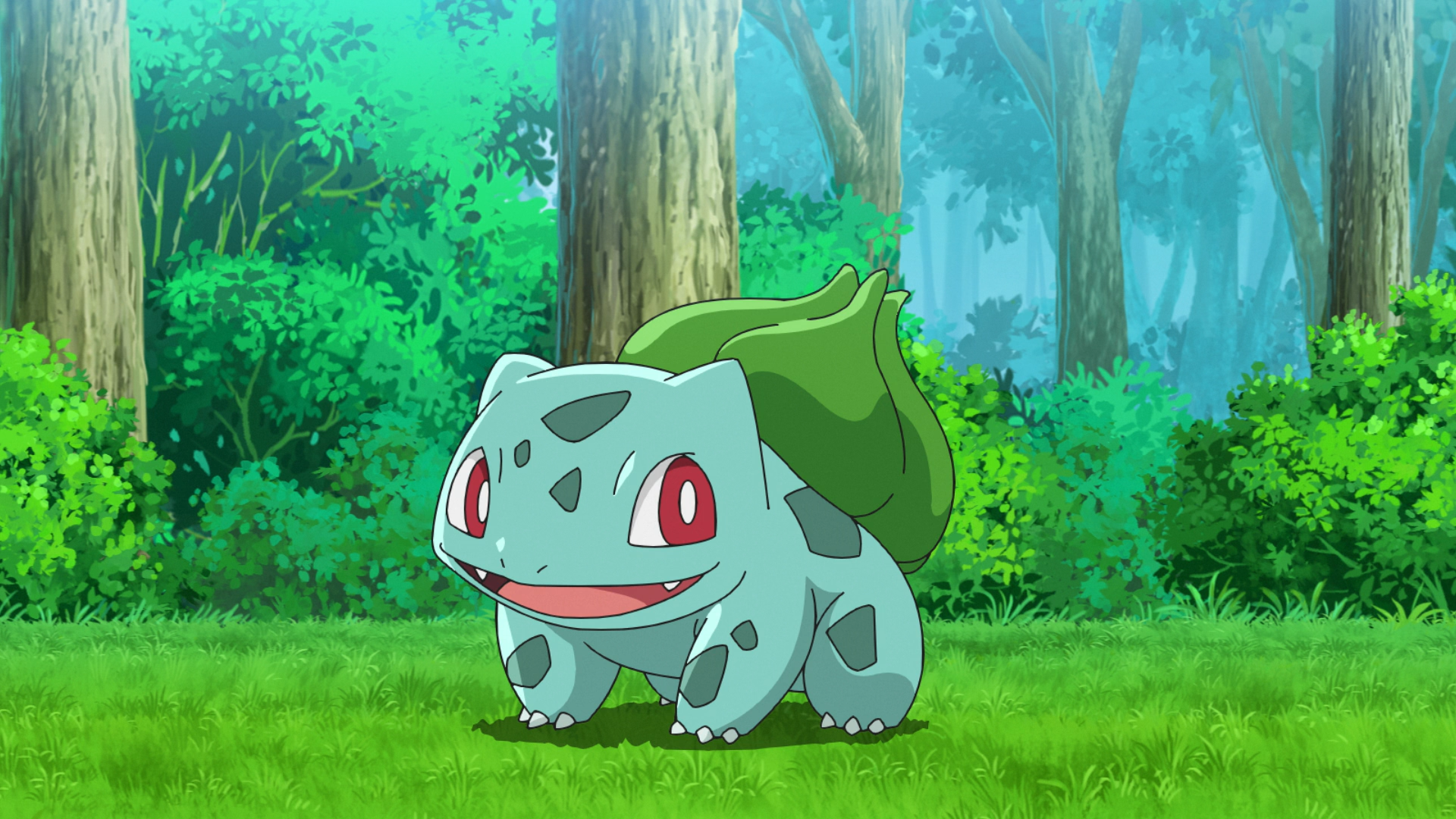 pokemon ash gray bulbasaur