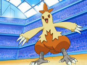 May Combusken
