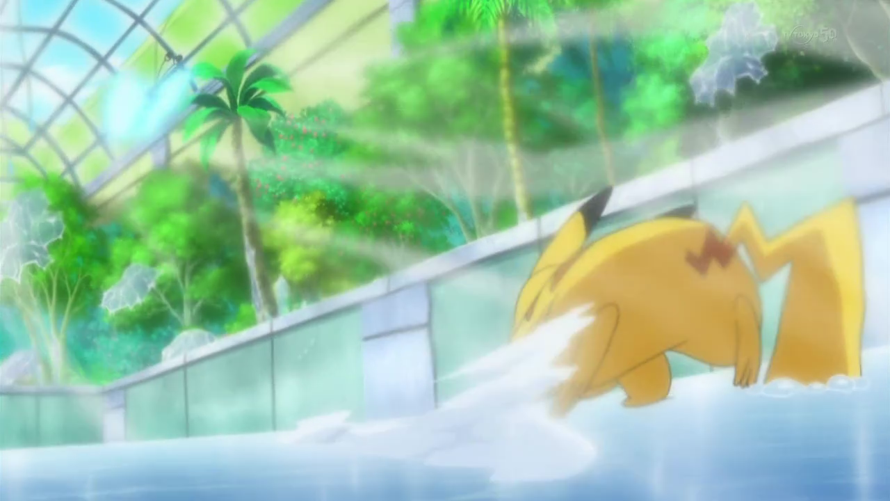 pokémon the series: xy | pokémon wiki | fandom powered by wikia