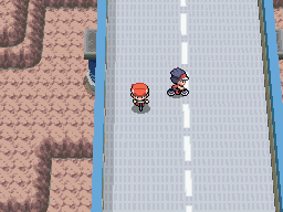 sinnoh route 206 pokémon