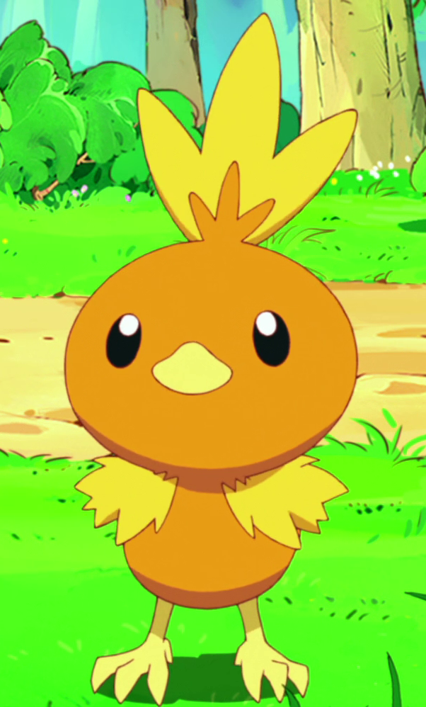 Torchic (PK028) Pokémon Wiki Fandom