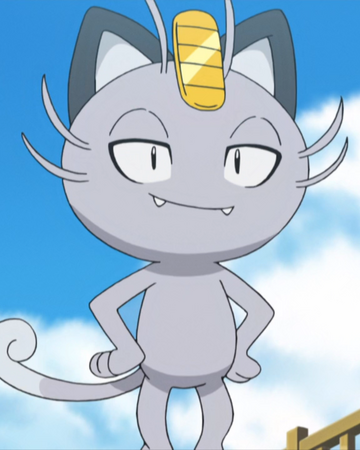 Matoris Meowth Pokémon Wiki Fandom