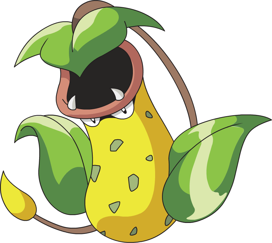 Victreebel Pokémon Wiki Fandom Powered By Wikia 