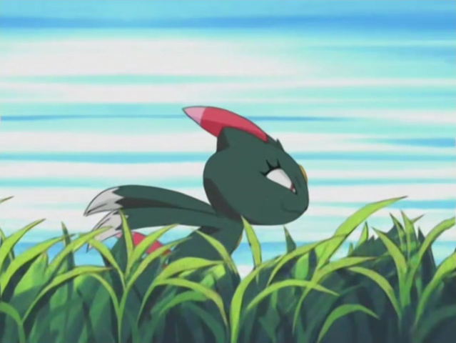 File:Harrison Sneasel Quick Attack.png