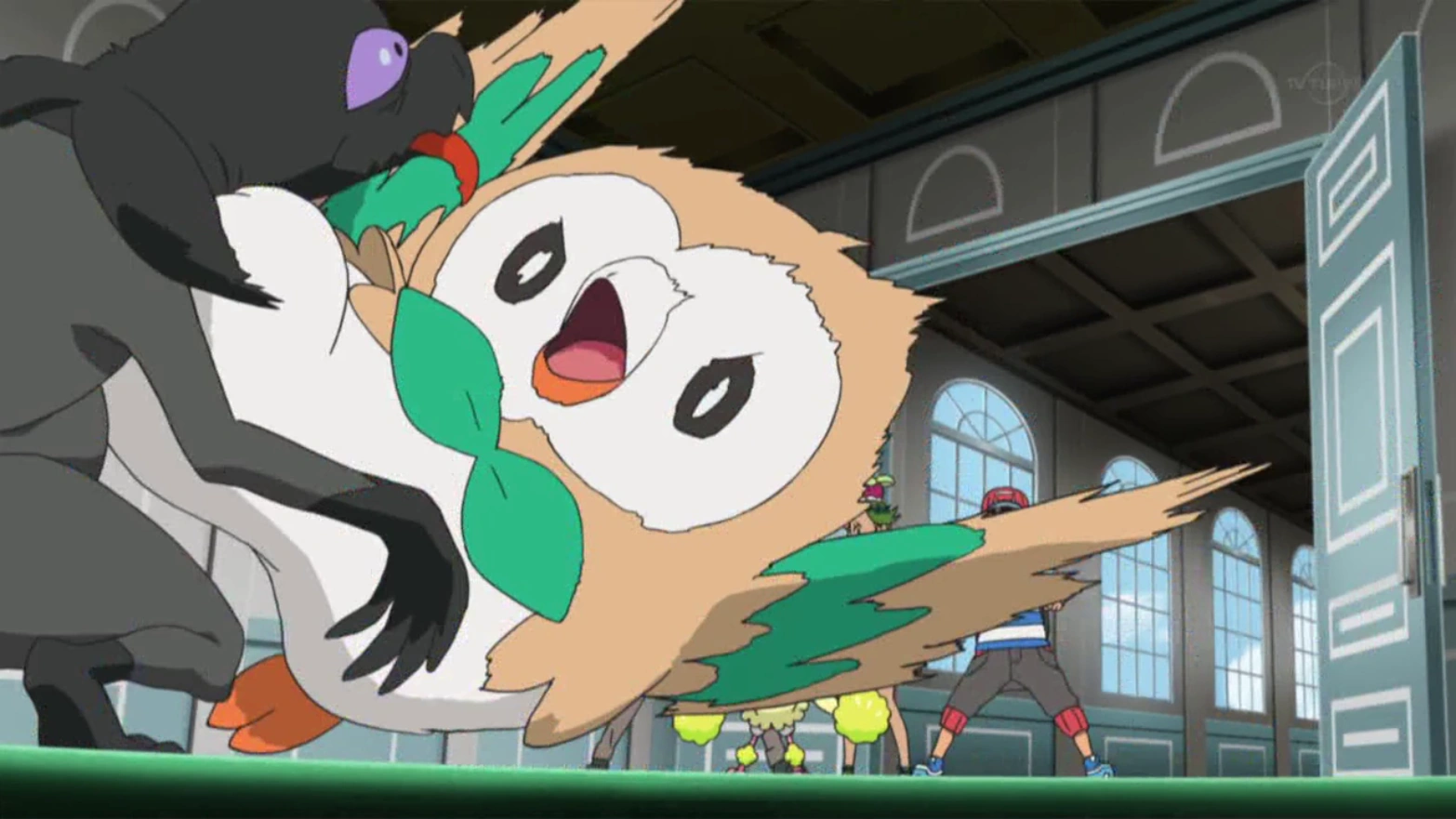 Image Ash Rowlet Tackle.png Pokémon Wiki FANDOM powered by Wikia