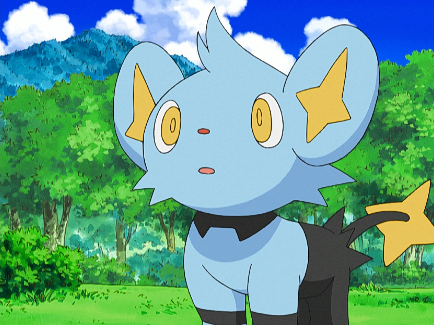 Angie's Shinx | Pokémon Wiki | Fandom