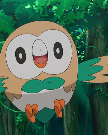 Ashs Rowlet Pokémon Wiki Fandom