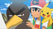 Ash and Farfetch'd