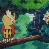 Gs038 Fowl Play Pokemon Wiki Fandom