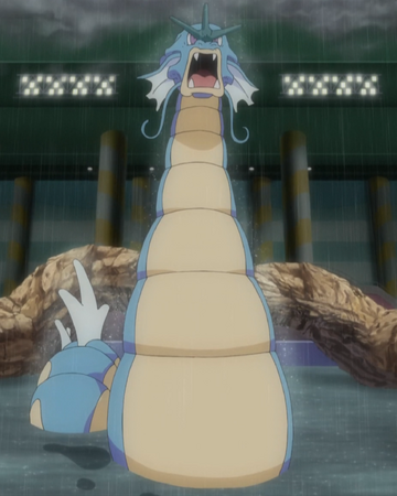 Misty S Gyarados Anime Pokemon Wiki Fandom
