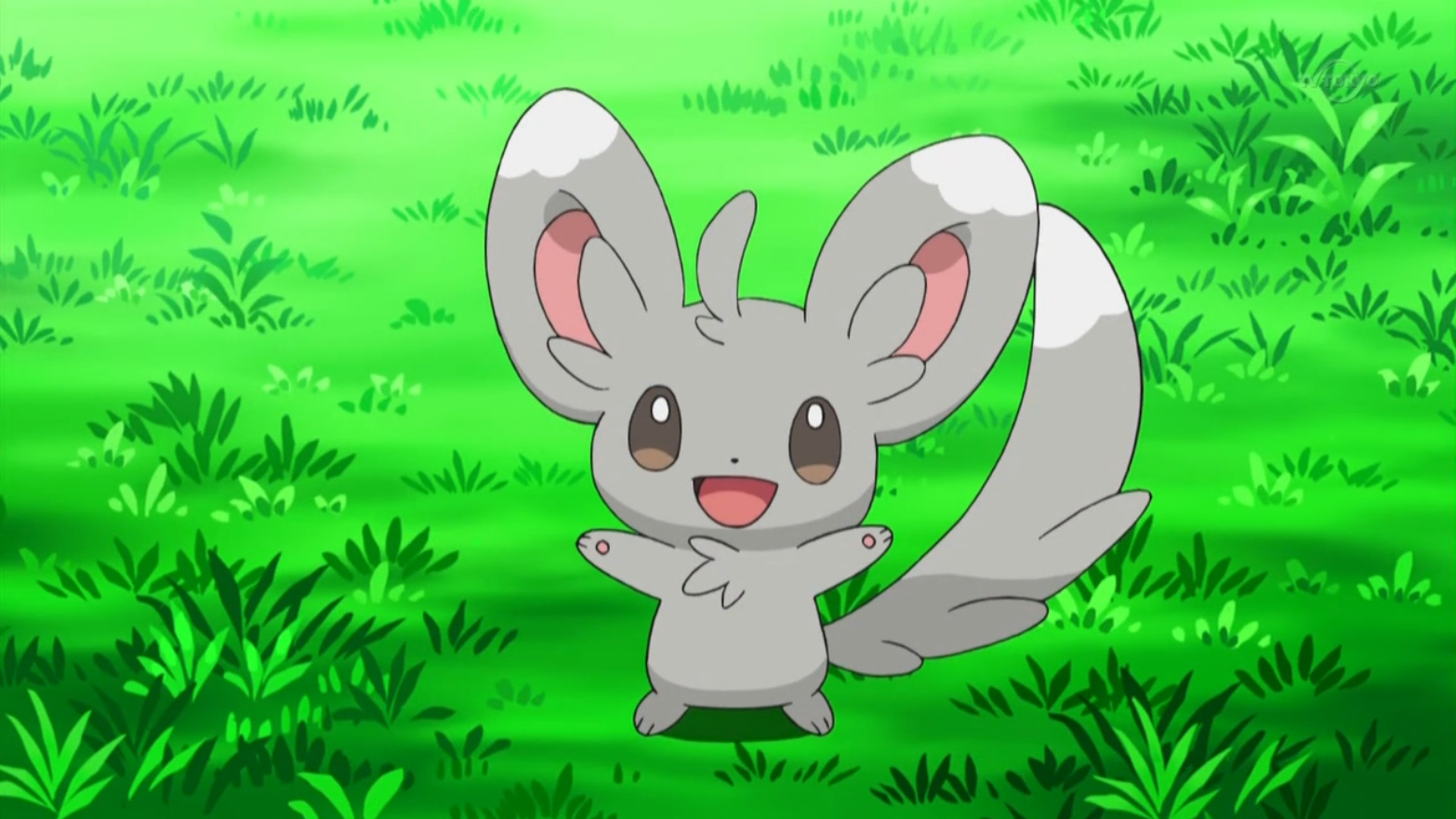 bianca s minccino pokémon wiki fandom powered by wikia