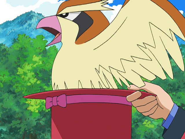 File:Francesca Pidgey.png