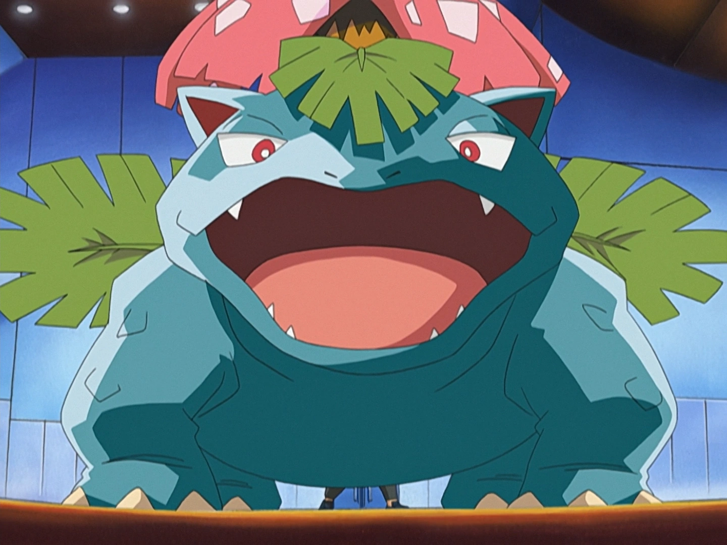 Jeremy's Venusaur Pokémon Wiki FANDOM powered by Wikia